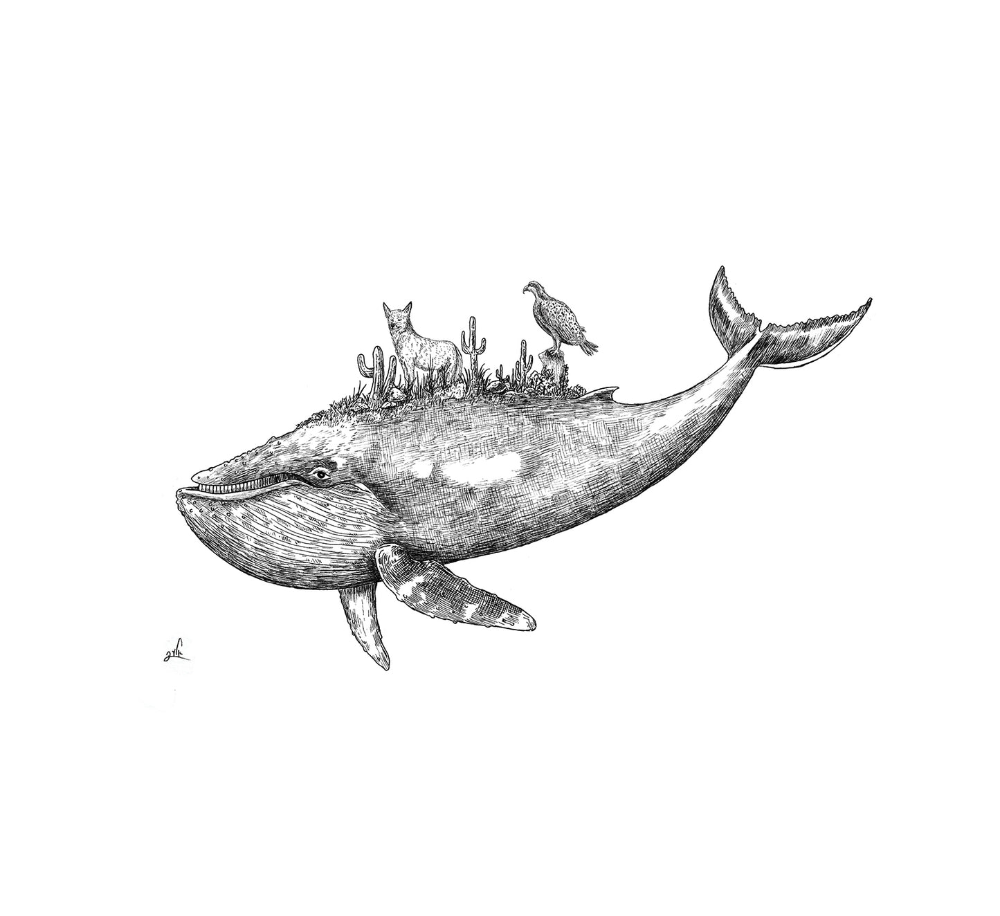 חולצה לבנה יוניסקס | לוויתן המדבר