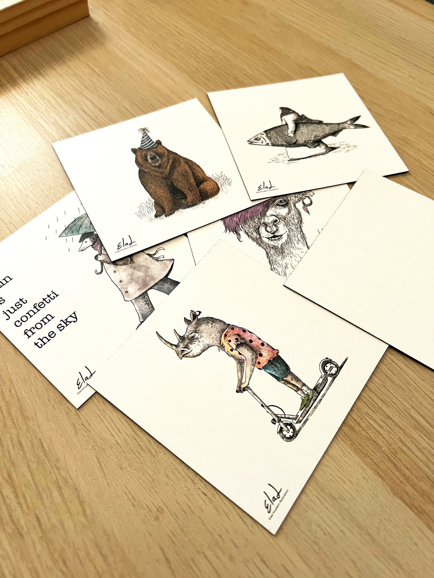 מגנטים | מארז שישיית מגנטים בהפתעה