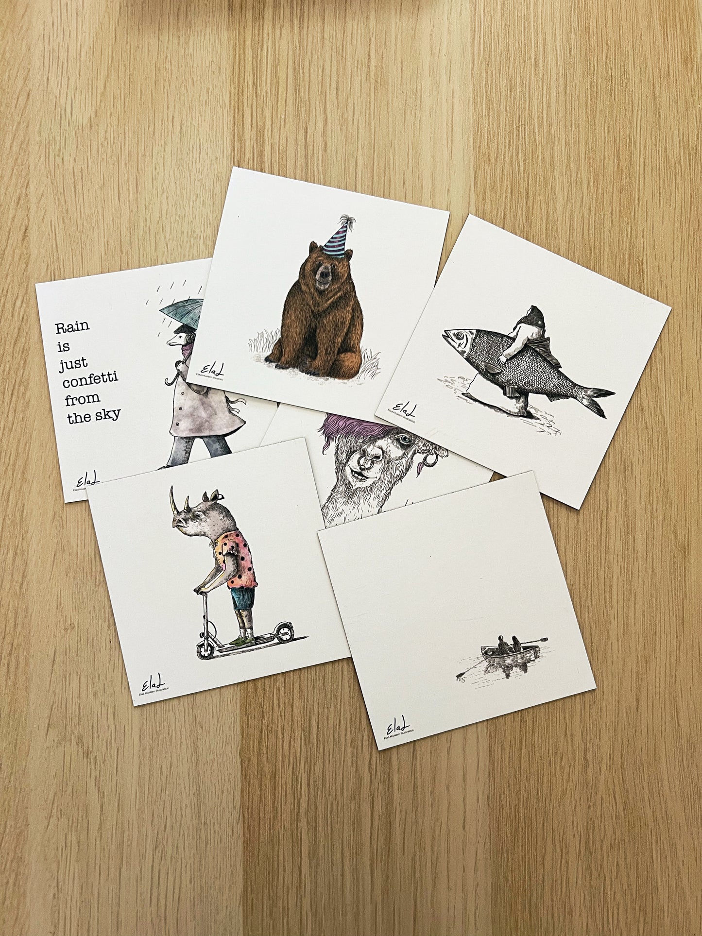 מגנטים | מארז שישיית מגנטים בהפתעה